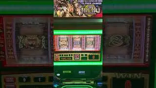 Jin Hu Gold Tiger