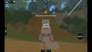 Fang tail trailer #capcut #roblox #warriorcats 