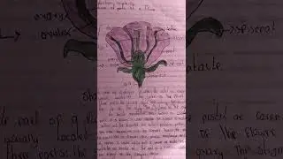 Parts of a flower Grade 9 Integrated Science#cbckenya #integratedscience