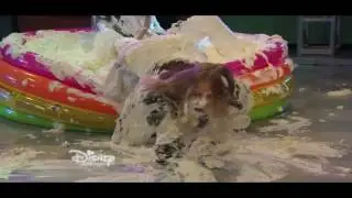 gunge 113