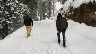 Narkanda live snowfall 25 November 2020