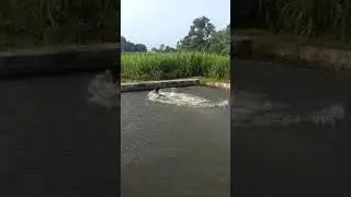 Alampoondi swimming pool