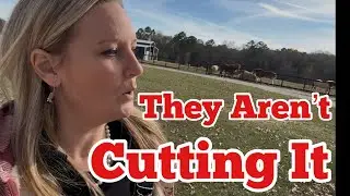 We Are Replacing The Horses with The Segway Navimow X4 & i2 AWD