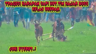 Tragedi Joki Eyeret....| Babak Kedua Karapan Sapi HUT Tim Hajar Boss Kelas Ukuran.