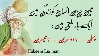 hakeem luqman quotes | Golden Words 💯 Motivational Quotes About Life Urdu