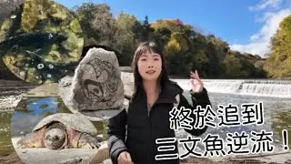 《終於追到三文魚逆流了》：OWP | Stream B的路上| Crystal桃桃