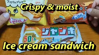 Recommended. Ice cream sandwich in Japanese supermarket