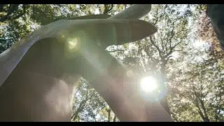 Camille Henrot, Wet Job at Middelheim Museum