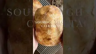 Sourdough Ciabatta (80% Hydration, Big-Hole Crumb)