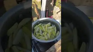 aalo chips