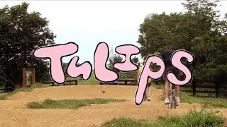 Stranger Club - Tulips (Official Video)