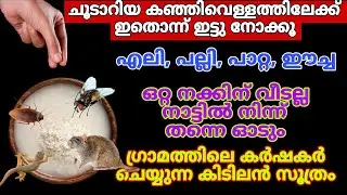 കഞ്ഞിവെള്ളത്തിൽ ഒരു നുള്ള് ചേർത്തു നോക്കൂ എലി പല്ലി പാറ്റ നാട് വിട്ടോടും Rat Repellent 