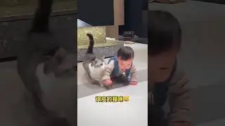 Adorable Baby and Kitten Playtime 🍼🐱#cute kitten #adoreble #cat