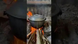 Cooking in the Village with Wood Fire 🔥🌾#villagecooking #woodfirecooking #traditionalcooking