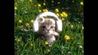 xxxmanera | kai angel | 9mice | cute guitar sample type beat 