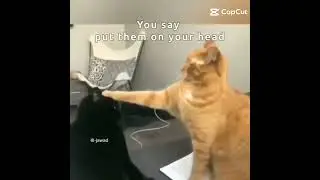 jbruh