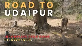 🚗 ROAD + RANTHAMBORE + UDAIPUR + CHOORMA.mp4