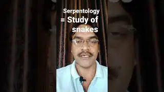 study of snakes | Serpentology #rsfshorts #shorts #RakeshSaumyaFacts