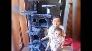 How to build a Large Multilevel Cat Tree Scratching Post Kitten Climbing Tower Activity Centre