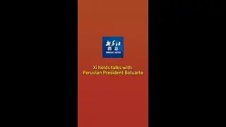 Xinhua News | Xi holds talks with Peruvian President Boluarte