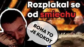 RESTT | Reakce | CLASH | KOTLAR VS ABE | VOLAL TAM FAKE MI&Scaron;KO AVERAGE