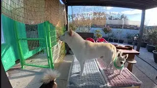콘테이너 장판 교체,방수 시트지,실리콘 작업 완료!