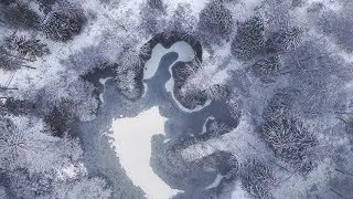 Beneath the Winter Sky