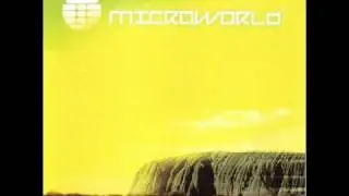 Microworld - Skidoo