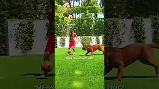 Ronaldo with his pet 💀🥶||#shorts #fyp #football #ronaldo ||