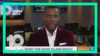 High bacteria levels prompt health advisory for Davis Island Beach