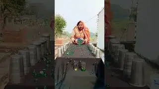 amazing kancha poring roll family challenge ✅ #shorts #game #trending