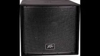 Peavey VersArray 118