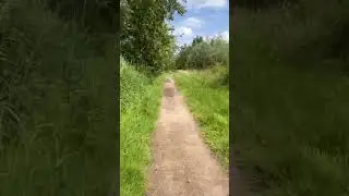 Fietstocht Lingebos (17-6-2024)