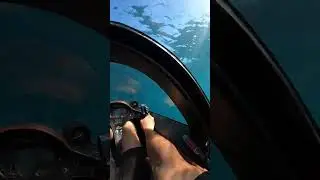 Riding in a semi submersible shark boat