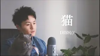 DISH// 『猫』covered by Shuhei Nagasawa長宇