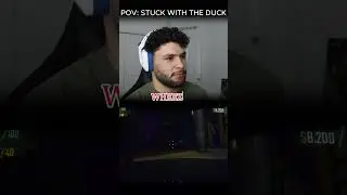 POV : STUCK WITH THE DUCK