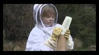 May 1/11  Senga's Vlog - Hiving a Package of Bees