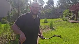 Nocking the arrow in Persian archery #archery