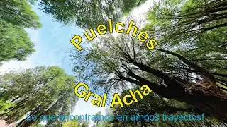 General Acha y Puelches | La Pampa | Argentina