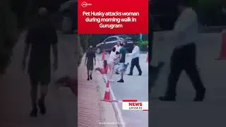 Gurugram: Husky Dog Attacks Woman During Morning Walk  #dogattacks #gurugram #petdog #viralvideo
