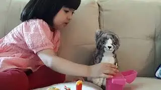 Time to feed the kitty burger 😽😼😻😻