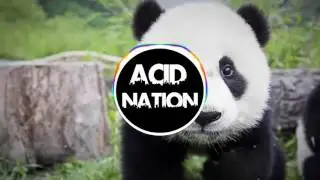 Panda -designer BASS BOOSTED VERSION