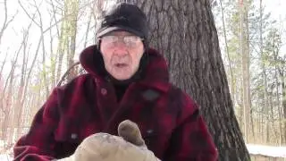 Winter Hammock Test Camp