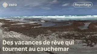 Voyage rat&eacute; : &agrave; qui revient la responsabilit&eacute; ? | La facture