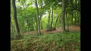Sounds of nature