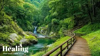 Nature’s Calm Ambience & Gentle Melodies 🍃 Soothe Your Heart, Ease Stress & Sleep Peacefully