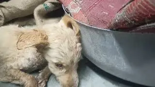 Aba dar lagane laga hai ki jo pahele huvatha vahi na. Hojay 😑