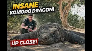 Indonesia VLOG - Komodo island and safari trip