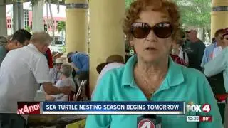 Sea Turtle Nesting Season Starts Monday