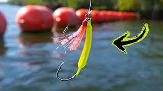 THIS LURE NEVER FAILS! (Power Plant Fishing for MY NEW PB)